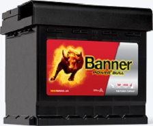 Power Bull P95 05